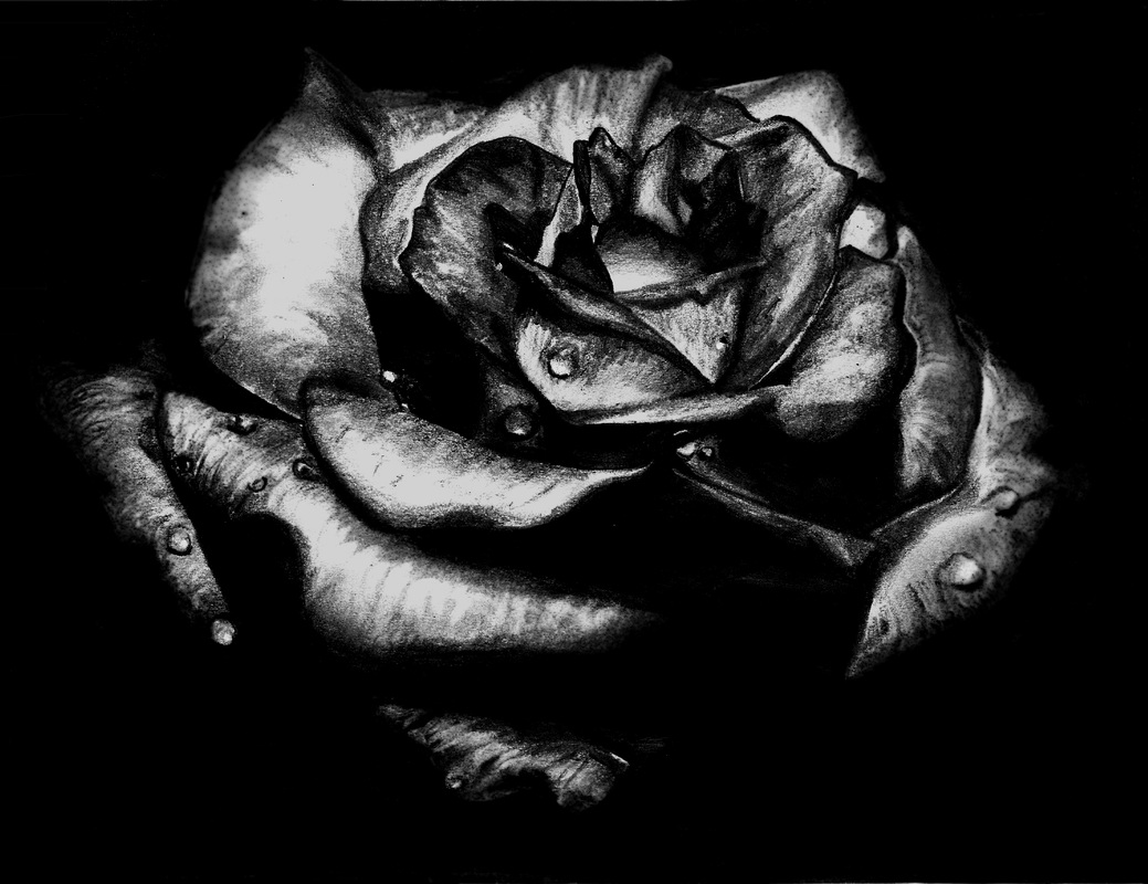 9358338_orig