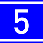 5 godina