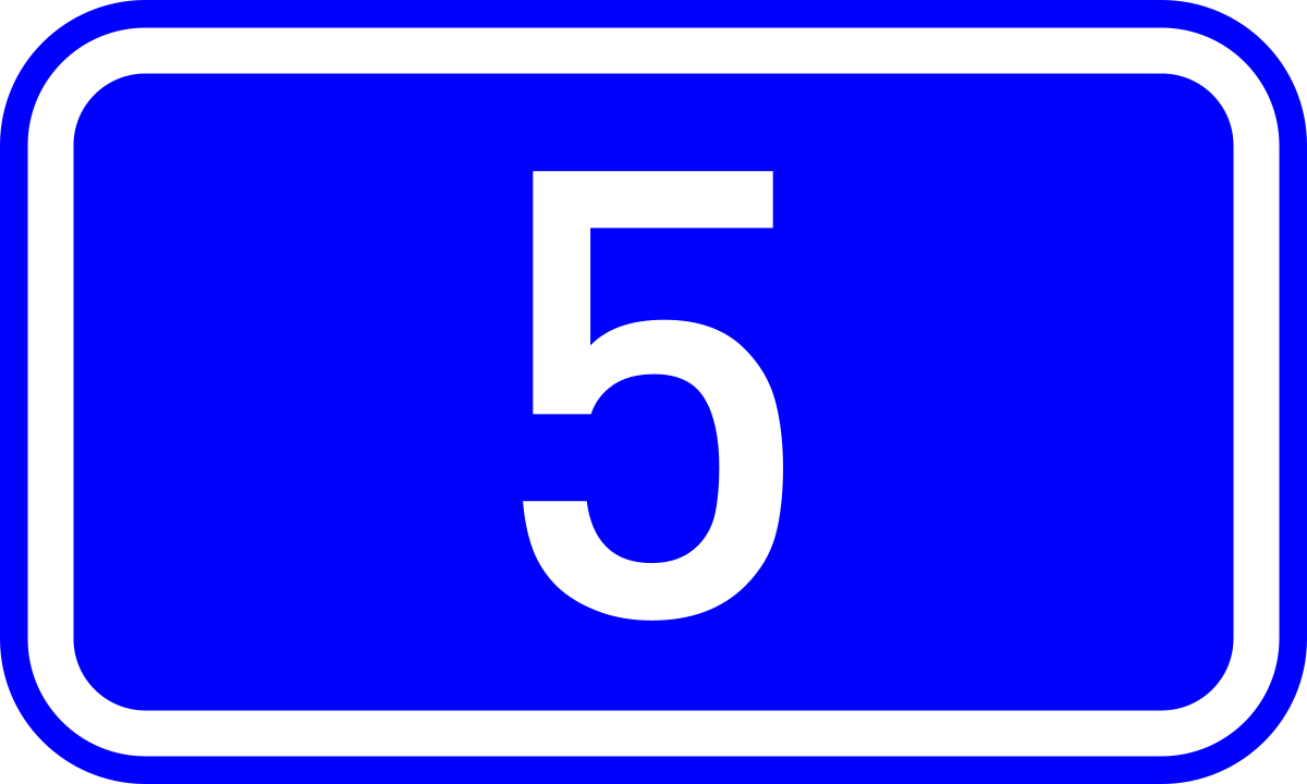 5 godina